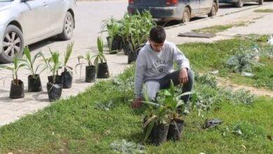 وكالة الجهود التطوعية بالبيضاء ومبادرة اغرس شجرة