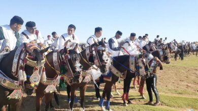 مهرجان السلام للفروسية الشعبية