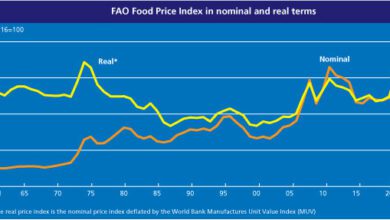 منظمة الأغذية والزراعة لأسعار الأغذية